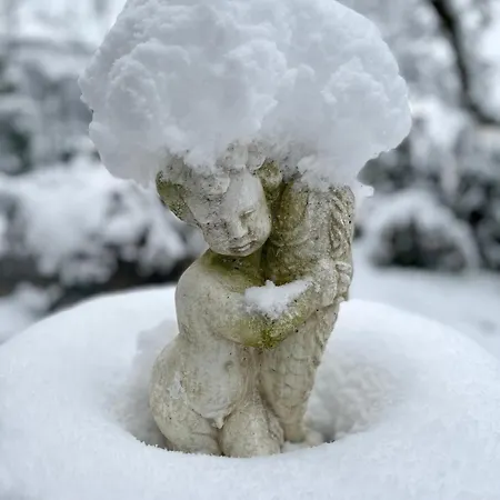 Appartement Alpenruhe Residenz Oberlienz